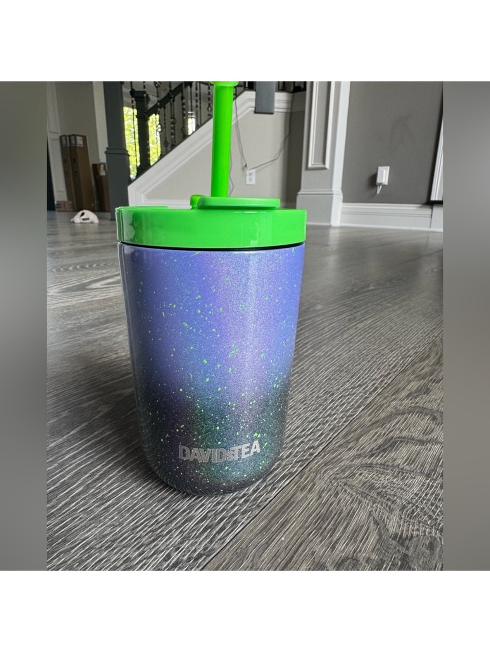 Davids Tea Mini Tumbler in Purple Ombre Green 12oz